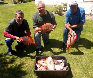 Kry jou amperbootjie 